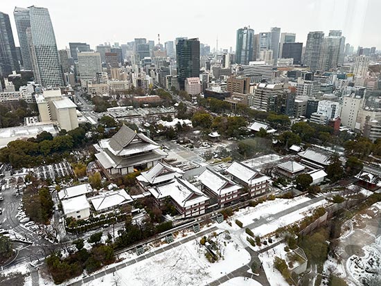 tokyo, winter 2024