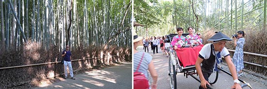 arashiyama, kyoto