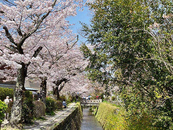 The Philosopher's Path in Kyoto