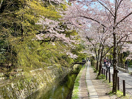 The Philosopher's Path in Kyoto