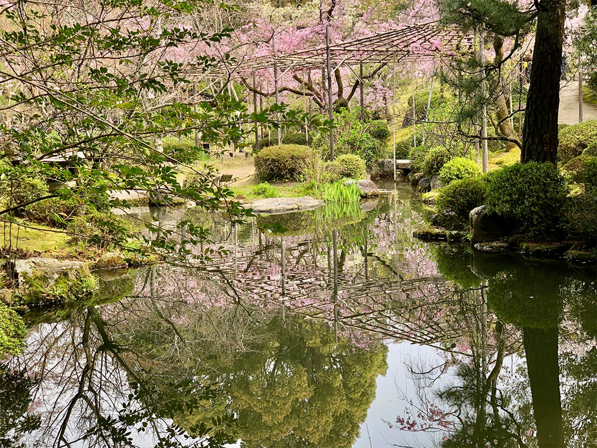 shrine garden at Heian jingu, kyoto